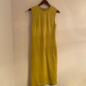 Aritzia fitted dress